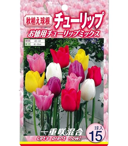 【球根】レア品種　ミステリーバレー　チューリップ　2球 Amazon.co.jp: チューリップ 球根 ミステリーバレー 2球 八重咲き