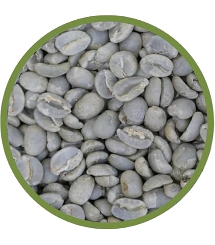 コーヒー生豆10kg】エルサルバドルSHG ジュリア Qグレード コーヒー生