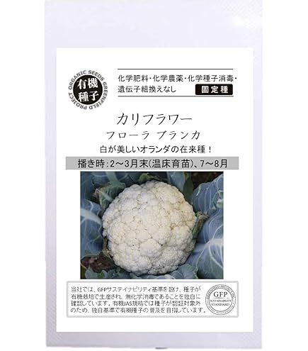 カリフラワー様　専売 一品一会MHCコース&プリザーブドフラワー | 商品詳細 | 高島屋