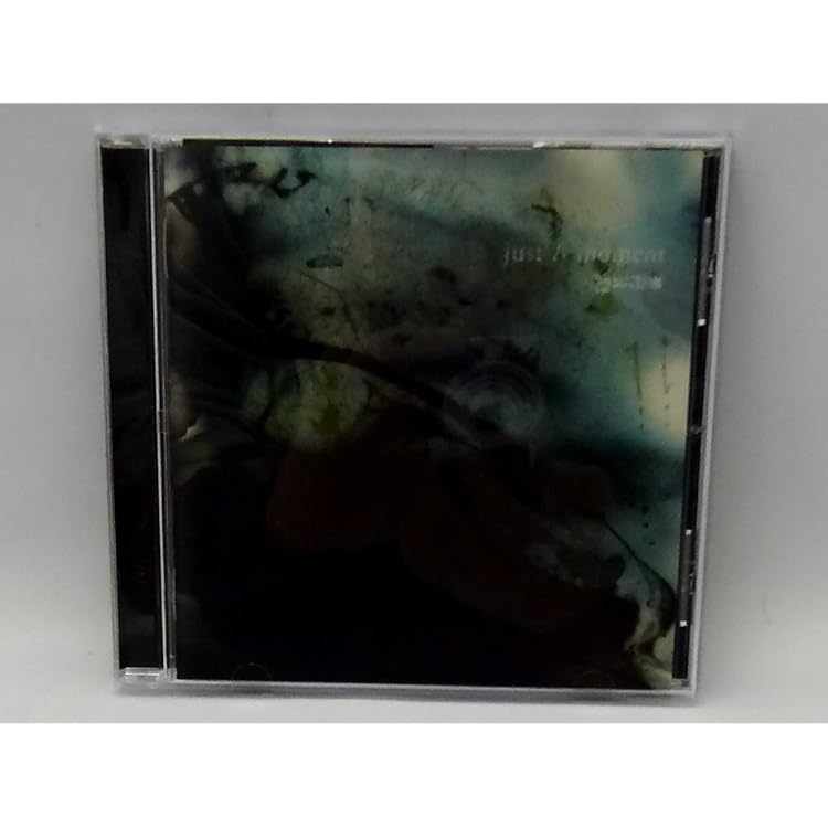 凛として時雨 「still a Sigure virgin?」 額装アートワーク 凛として時雨 「still a Sigure virgin?」 額装アートワーク still a