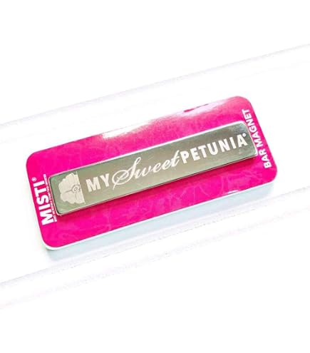 Magneti Extra Large Per Craft Tonic Studios – 18mm X 2,5mm – 2 Pezzi – 4506E