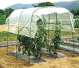 DAIM シート 家庭菜園 雨よけセット ワイド