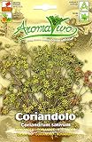 【輸入種子】 HORTUS Aroma Vivo Coriandolo コリアンダー ホルタス社
