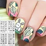 可愛い花柄　Ejiubas ネイルプレート　スタンピングプレート　スタンプネイル　二枚入れ ネ...