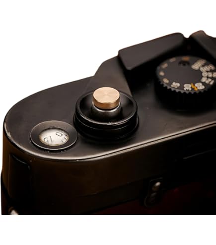 Amazon | Mr.Stone ソフトレリーズシャッターボタン 各社カメラ対応 凸