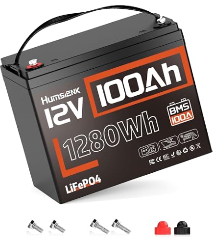 Amazon | DATOUBOSS 12V 100Ah LiFePO4 リン酸鉄リチウムイオン