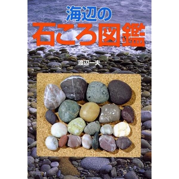 Amazon.co.jp: 素敵な石ころの見つけ方 (中公新書ラクレ 626) : 渡辺