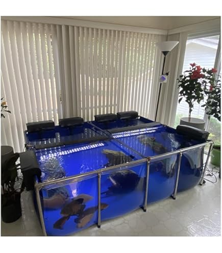 Amazon | FRP水槽 大 青い アクアリウム サカナ用 プラスチック