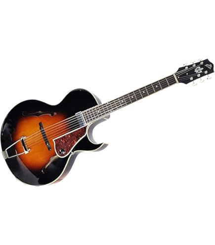 LOAR LH-280-C Vintage Sunburst フルアコ Amazon | LOAR (ロア) フルアコースティックギター LH-280-C