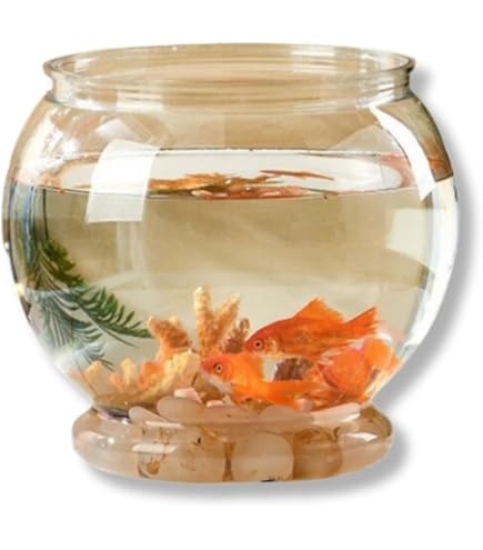 Amazon.co.jp: 金魚鉢 金魚袋 でめきん 水風船 オイルチャーム