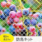 KUNKANI 防鳥 ネット 3m*7m カラス 鳩対策 鳥よけ 動物駆除 防鳥網 ベランダ・庭・農場・養魚池に使用【結束バンド20本付き】