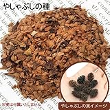 盆栽樹木タネ やしゃぶしの種 5g 山野草 種子 家庭菜園