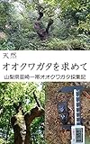 天然オオクワガタを求めて: 山梨県韮崎一帯オオクワガタ採集記
