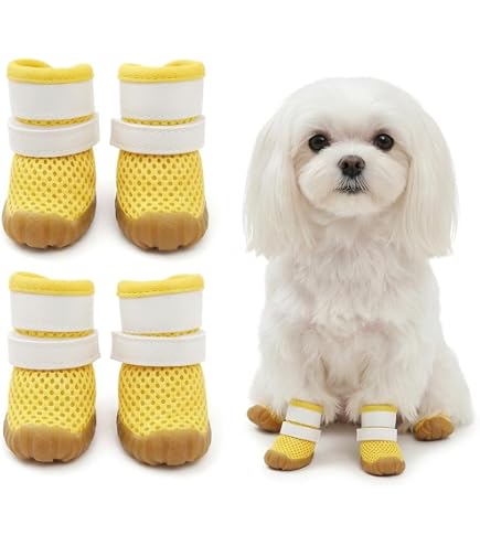 Amazon.co.jp: 犬用クロックス春夏レインブーツペット用品ゴールデン
