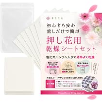 Amazon.co.jp: ドライフラワー用乾燥剤シリカゲル1kg 【容器セットNew