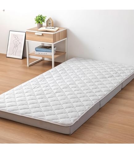 Amazon｜ニトリ(NITORI) 置くだけ簡単 敷きパッド ダブル NウォームWSP