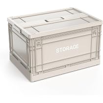 61PWD-P1ziL._AC_UL210_SR210,