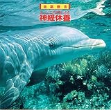 ����Ö@�`�q�[�����O���ʂɂ��_�o�x�{�`�C�̖��̃C���X�s���[�V����