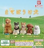まてぼうけ 犬 全5種 フルコンプセット