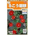 サカタのタネ 実咲花7831 るこう朝顔 00907831