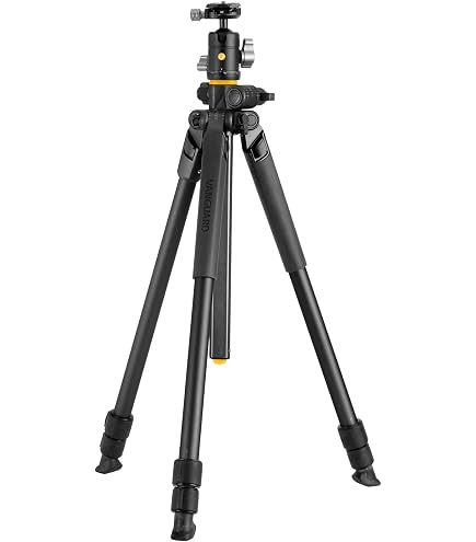 Amazon.co.jp: VANGUARD Espod Cx 233Ap Tripod with Ph-23 Pan Head
