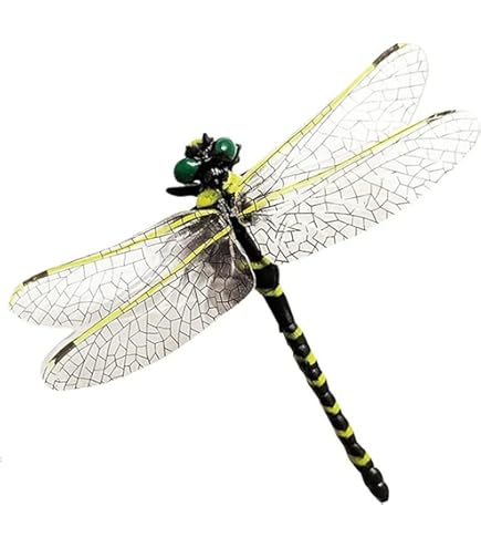 Amazon.co.jp: MAIBED 虫除け オニヤンマ 2024本物とほぼ同じ1/2