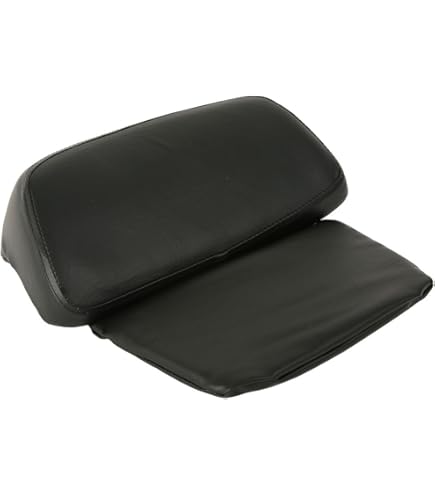 Amazon | スペシャルパーツ武川(TAKEGAWA) ピリオンシート＆バック