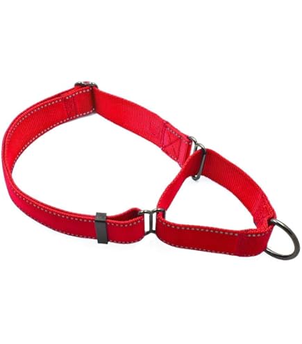 Max And Neo - Dog Collars, Leashes - We Donate 1 For 1 To