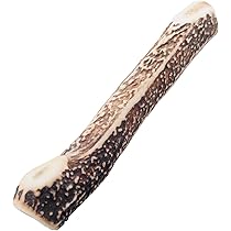 ガジガジ大好き【白い歯♪】人気の鹿ドライボーン人気商品 ガジガジ大好き】白い歯のために 人気の鹿 ドライボーン 6本