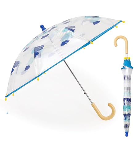 Amazon.co.jp: 特注アロナの傘 : ファッション