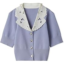 SNIDEL　新品タグ付　Sustainableエンブロイダリープルオーバー SNIDEL（スナイデル）の「Sustainableシアージャガードエン