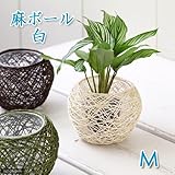 麻ボールMの鉢 白(内鉢付)(φ10×H6.5cm)(ハイドロ苗6φに対応)