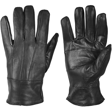 Amazon.co.jp ほしい物ランキング: メンズ手袋 で、ほしい物リストと