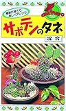 カネコ種苗 サボテンのタネ 混合 10袋セット