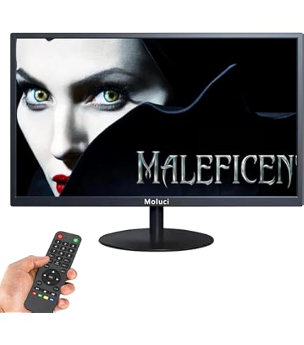 Amazon.co.jp: 幅20型インチ 多機能 PC液晶テレビ 防犯カメラの