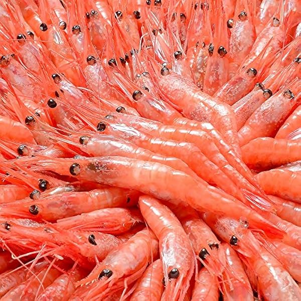 あまえび 楽天市場】送料無料 甘エビ 甘海老 1kg 90〜120尾前後 Sサイズ