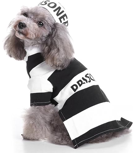 犬のおまわりさん　ポリス 51iHhtPAADL._AC_SY200_QL15_.jpg