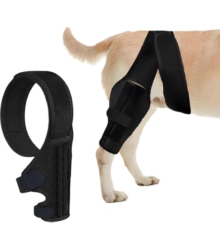 Amazon.co.jp: NexPon 犬用膝装具、犬用前十字靭帯膝装具後肢、後肢用