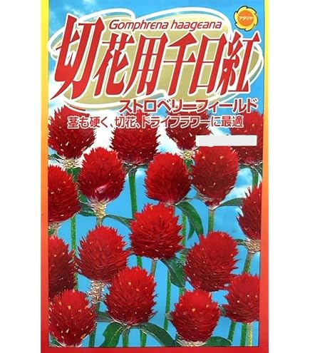 Amazon | アタリヤ農園 ガーデニング用品 種 ストロベリーフィールド