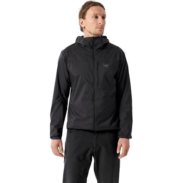 Amazon.co.jp: [アークテリクス] ARCTERYX スコーミッシュフーディ男性