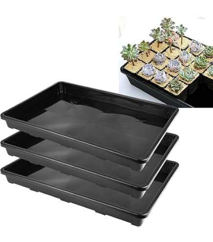 Amazon.co.jp: 20枚 ポットレスコンテナ230 24穴 5.5cm 容量230cc 阪中