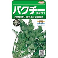 期間限定　パクチー　香菜　新鮮野菜　業務用　大量　卸し　10kg クール便 期間限定 パクチー 香菜 新鮮野菜 業務用 大量 卸し 10kg クール