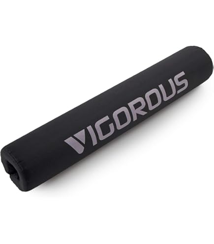 ROGUE 20kg バーベルプレート1枚 楽天市場】ROGUE FITNESS バーベル プレートクロスフィット