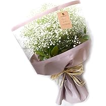 かすみ草ページ 第134号：昭和かすみ草：農林水産省