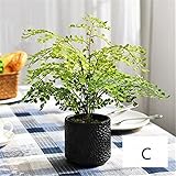 gannbarou　グリーン 雑貨 インテア雑貨 お世話のいらない 癒しの グリーン 観葉植物 イチョウ 造花 ガーデン 植木鉢 オブジェ フェイクグリーン　お誕生日 お祝い ギフト プレゼント（Cブ