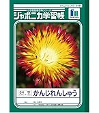 Amazon.co.jp: ショウワノート 学習帳 ジャポニカ 漢字練習 84字 補助