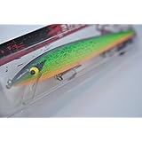 Smithwick Rattlin' Rogue ARB 2ft Dive Lacy Tiger スミスウィック ラトリンログ レーシータイガー [並行輸入品]