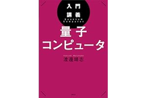 入門講義　量子コンピュータ (ＫＳ物理専門書)