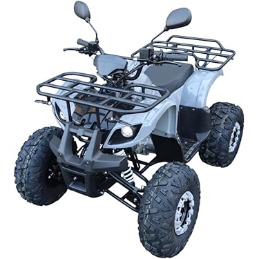 Amazon.co.jp ほしい物ランキング: オートバイ・電動バイク・バギー で