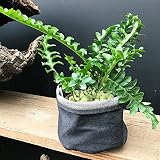 送料無料 インディゴ デニム鉢カバー オリジナル商品 観葉植物 ポットカバー プランターカバー 生デニム